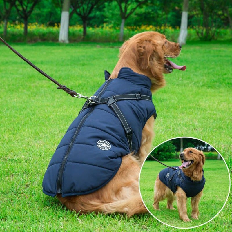 Warm Waterproof Dog Jacket With Harness